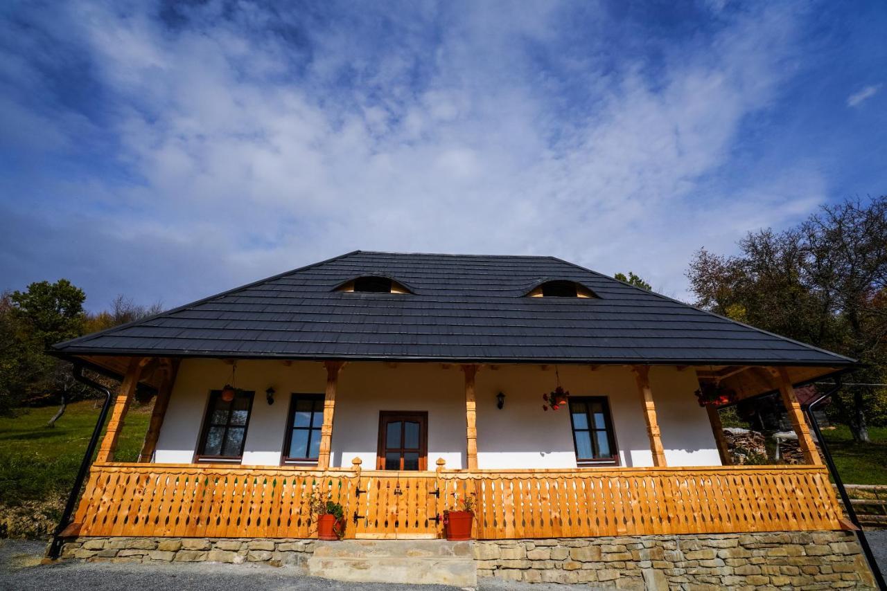 Hotel Casa Berg Vişeu de Sus Exterior foto