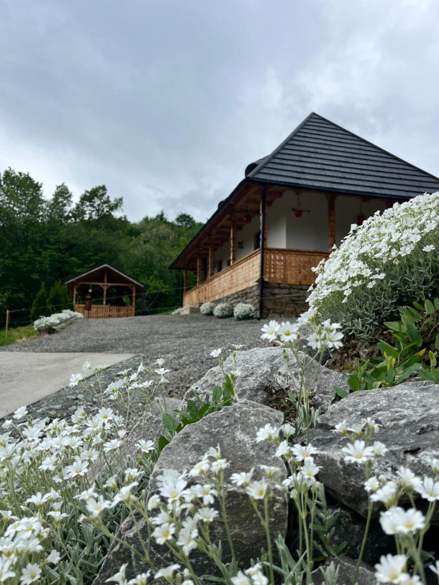 Hotel Casa Berg Vişeu de Sus Exterior foto