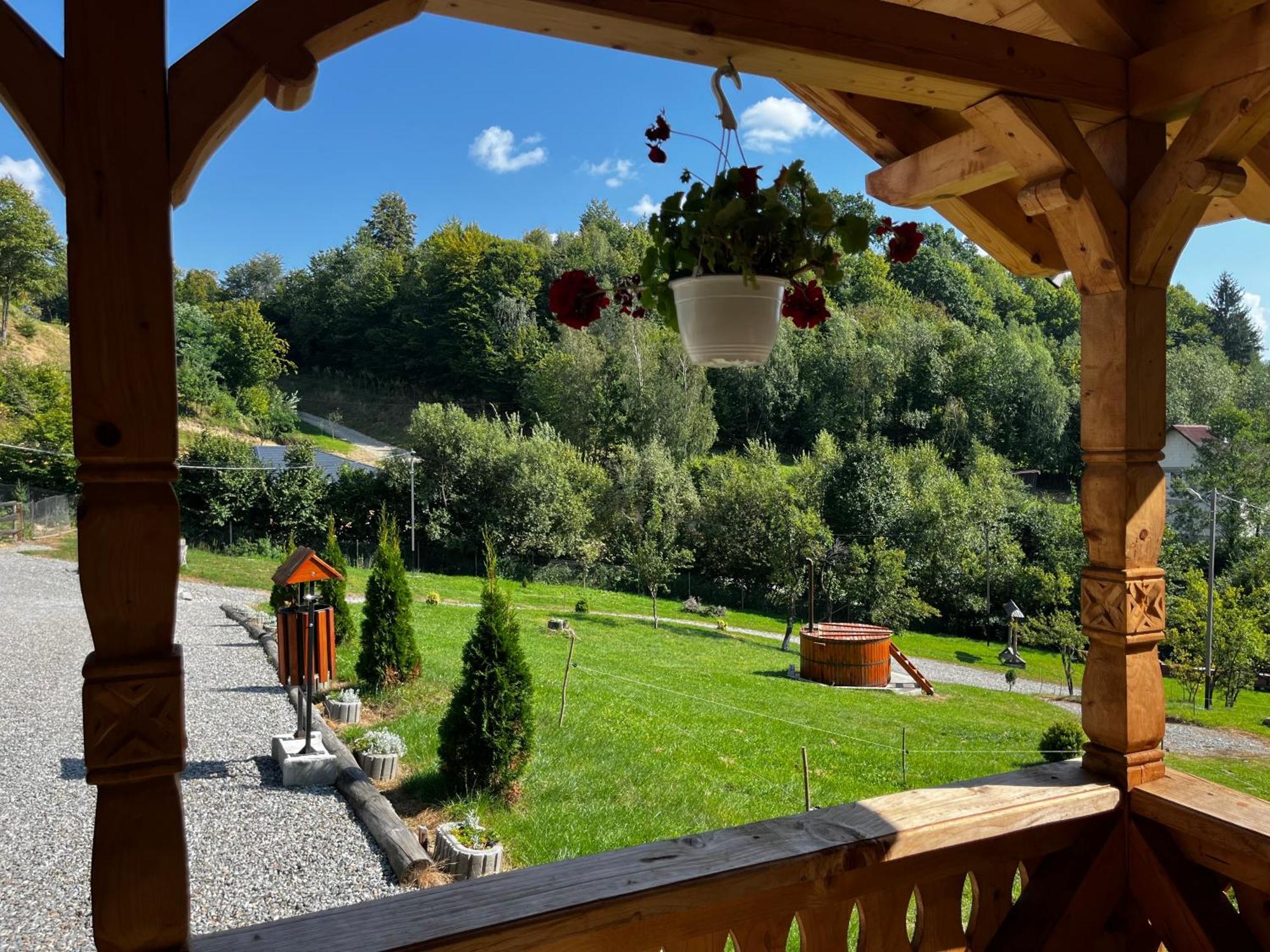Hotel Casa Berg Vişeu de Sus Exterior foto